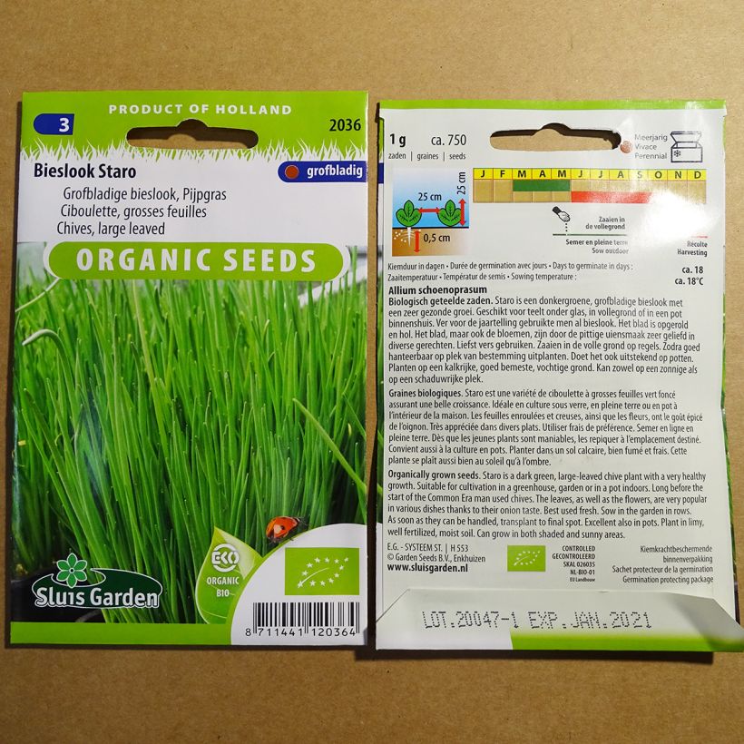 Esempio di esemplare Erba cipollina Staro Bio sacchetto di semi 750 (1g) come consegnato