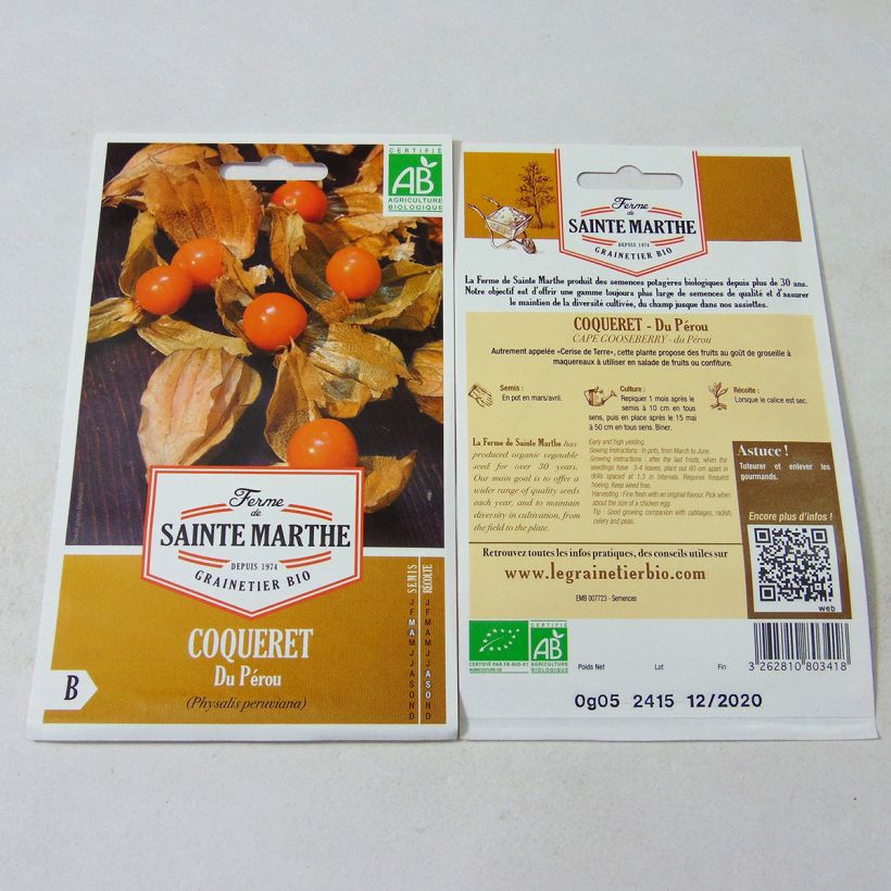 Esempio di esemplare Physalis edulis Bio - Alchechengio sacchetto di semi 50 come consegnato