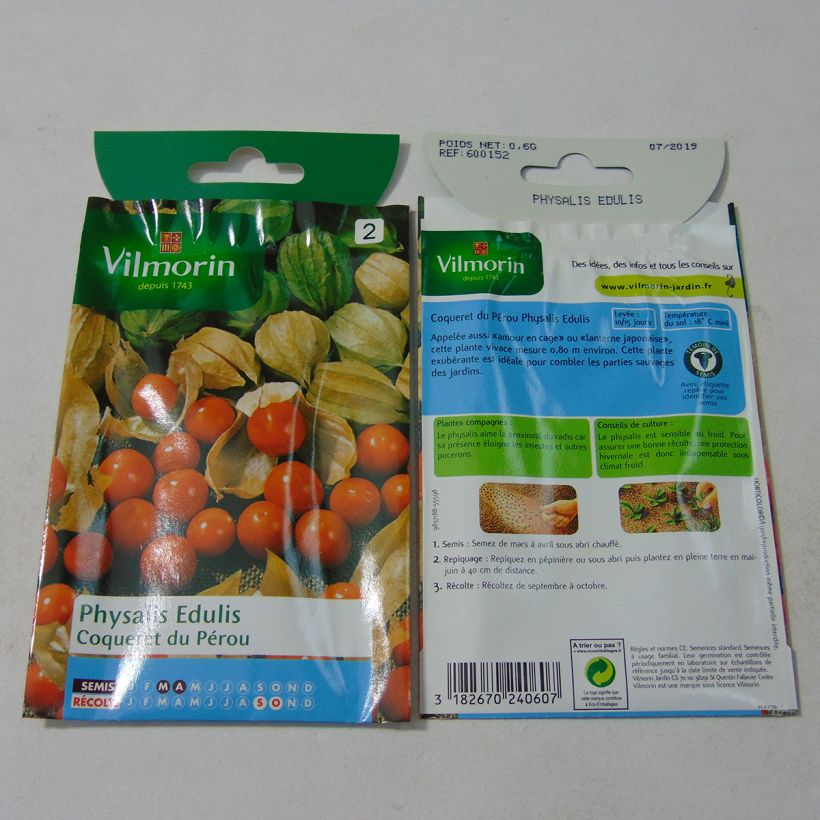 Esempio di esemplare Physalis edulis - Alchechengio sacchetto di semi da 0.6 grammi come consegnato