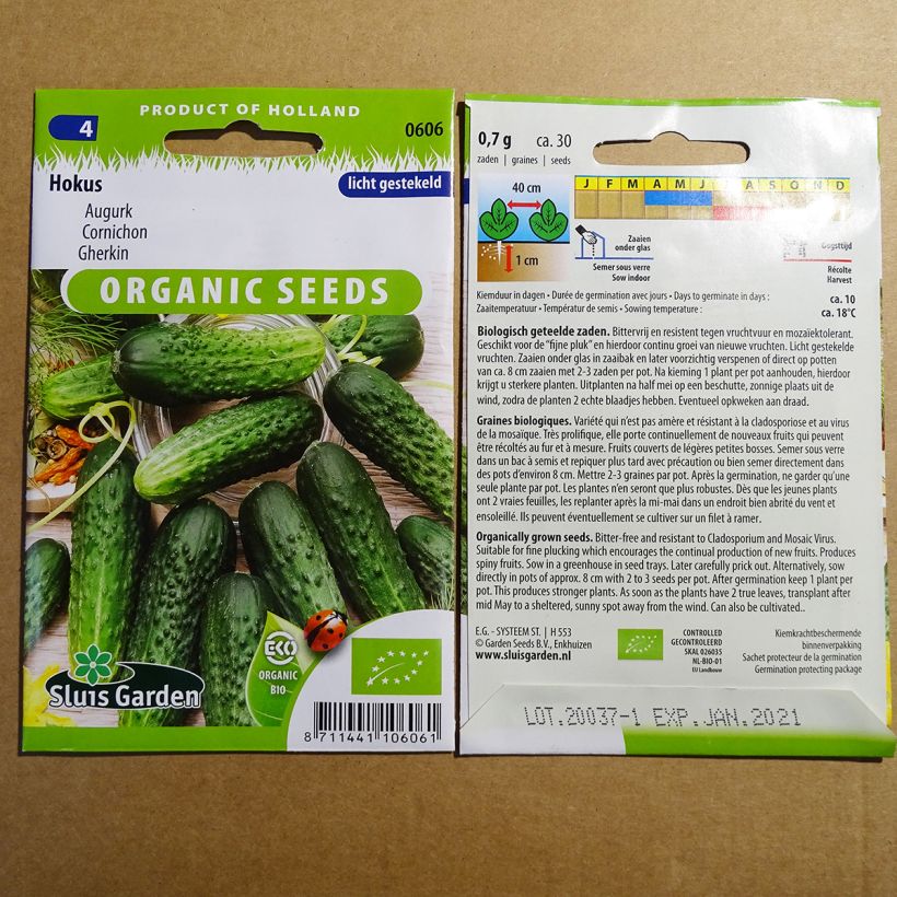 Esempio di esemplare Cetriolino per sottaceto Hokus Bio sacchetto di semi 30 (1g) come consegnato