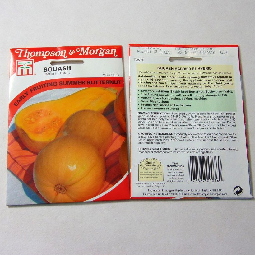 Esempio di esemplare Zucca moscata Butternut Harrier F1 sacchetto di semi 10 come consegnato