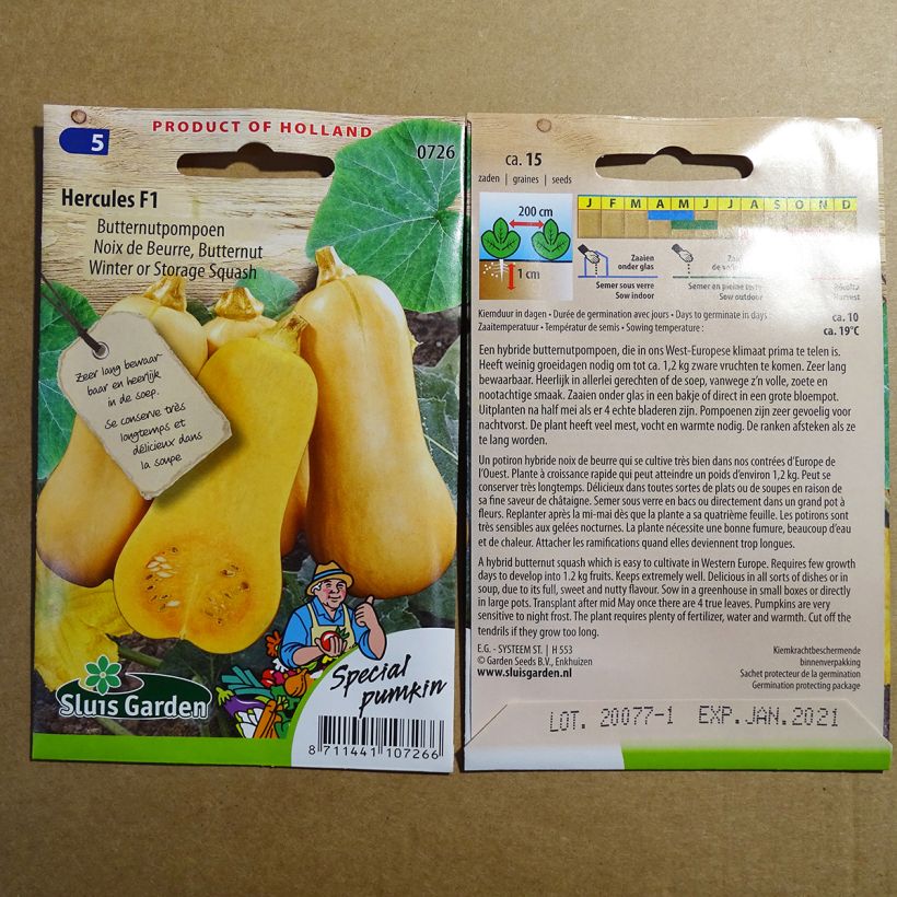 Esempio di esemplare Zucca moscata Hercules F1 sacchetto di semi 15 (5g) come consegnato