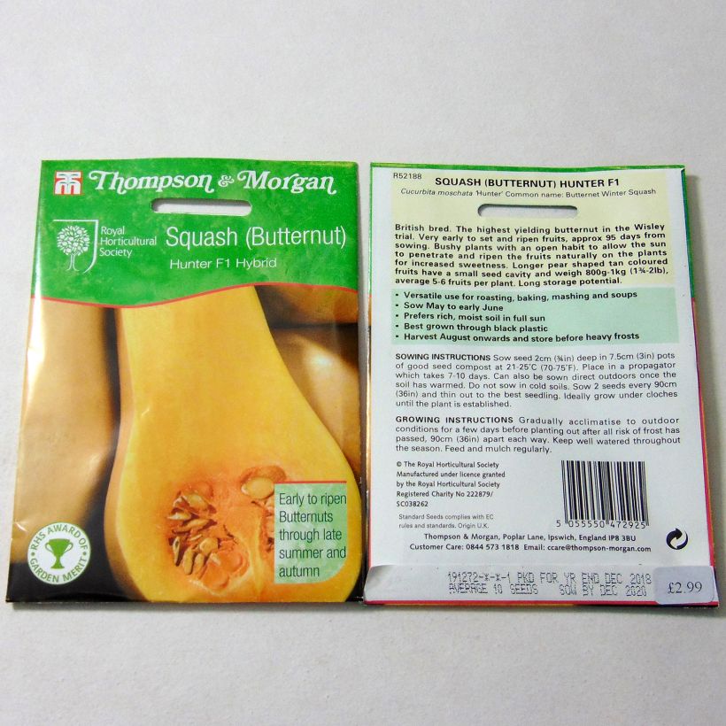 Esempio di esemplare Zucca moscata Butternut Hunter F1 sacchetto di semi 12 come consegnato