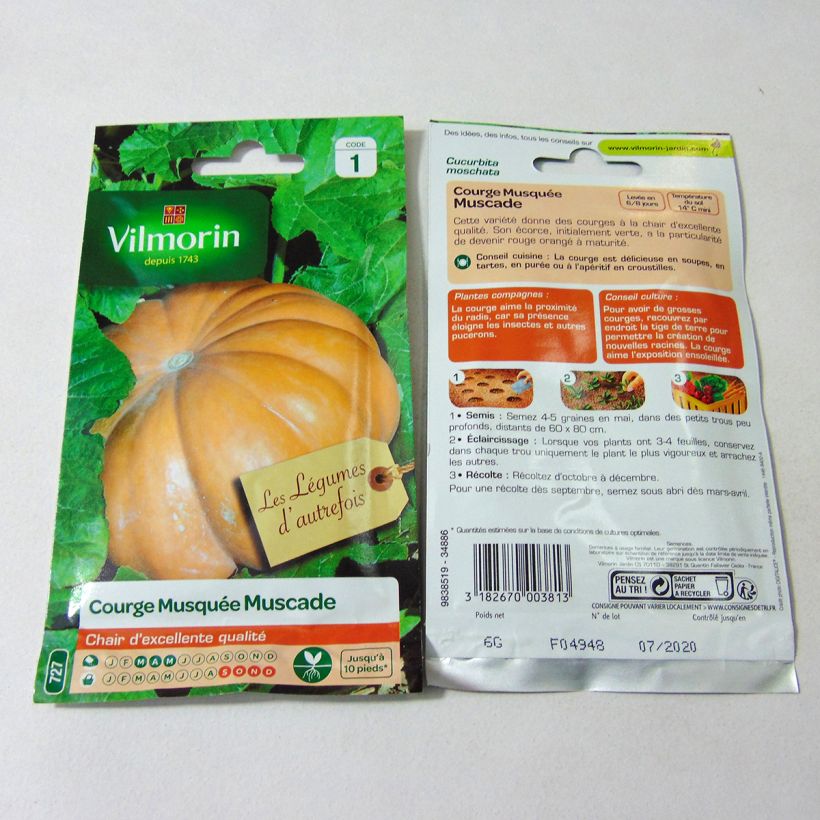 Esempio di esemplare Zucca moscata di Provenza - Vilmorin sacchetto di semi 35 (6g) come consegnato