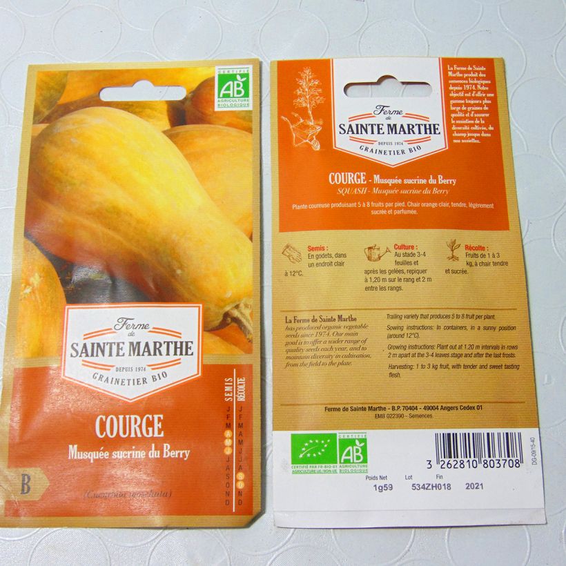 Esempio di esemplare Zucca moscata Sucrine du Berry sacchetto di semi 8 (1.2g) come consegnato