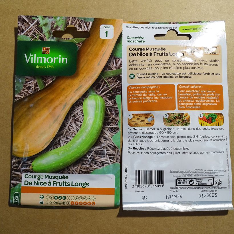 Esempio di esemplare Zucchino trombetta di Nica - Vilmorin sacchetto di semi 24 (4g) come consegnato