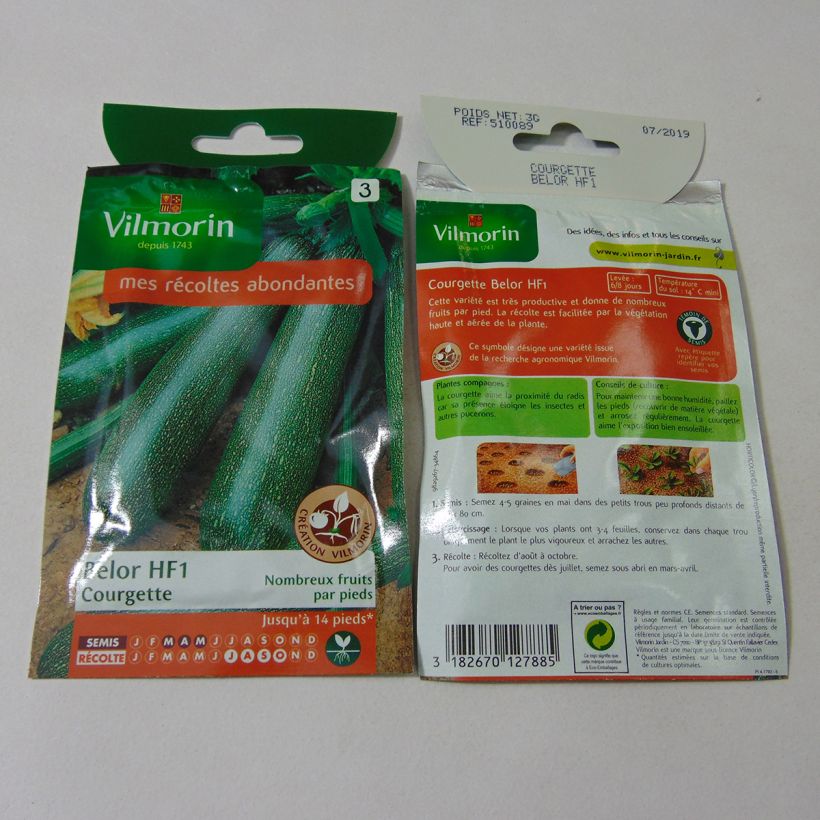 Esempio di esemplare Zucchino Belor F1 sacchetto di semi 30 (3g) come consegnato