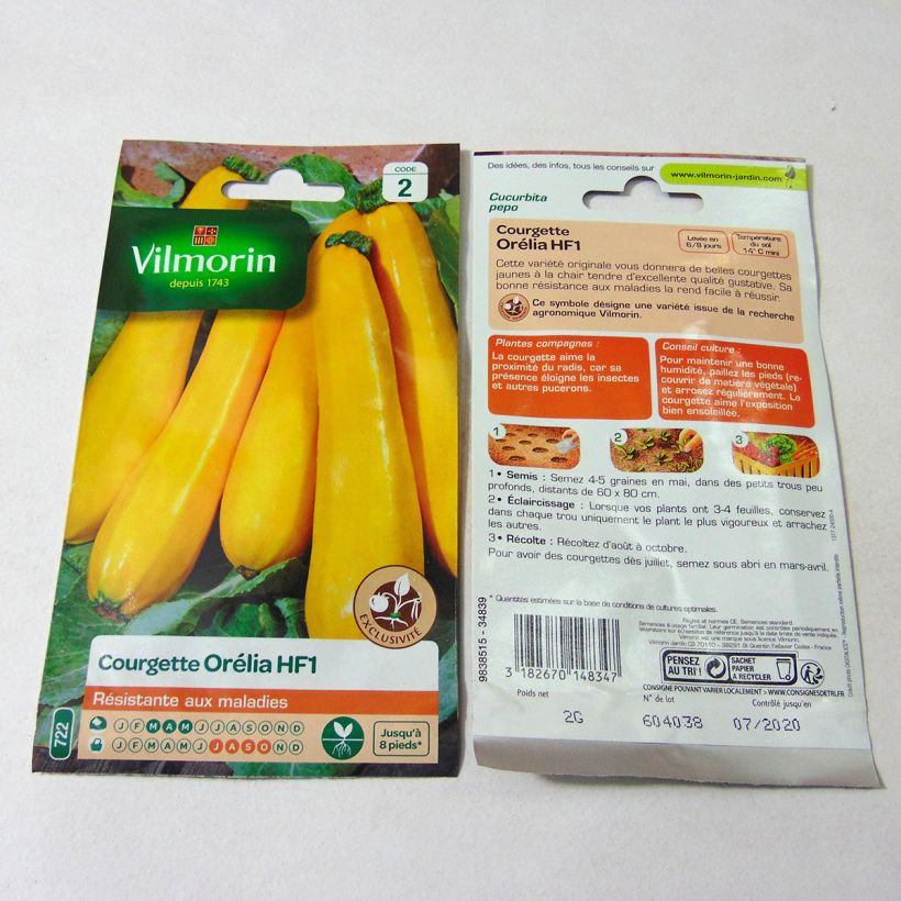Esempio di esemplare Zucchino Orelia F1 sacchetto di semi 12 (2g) come consegnato