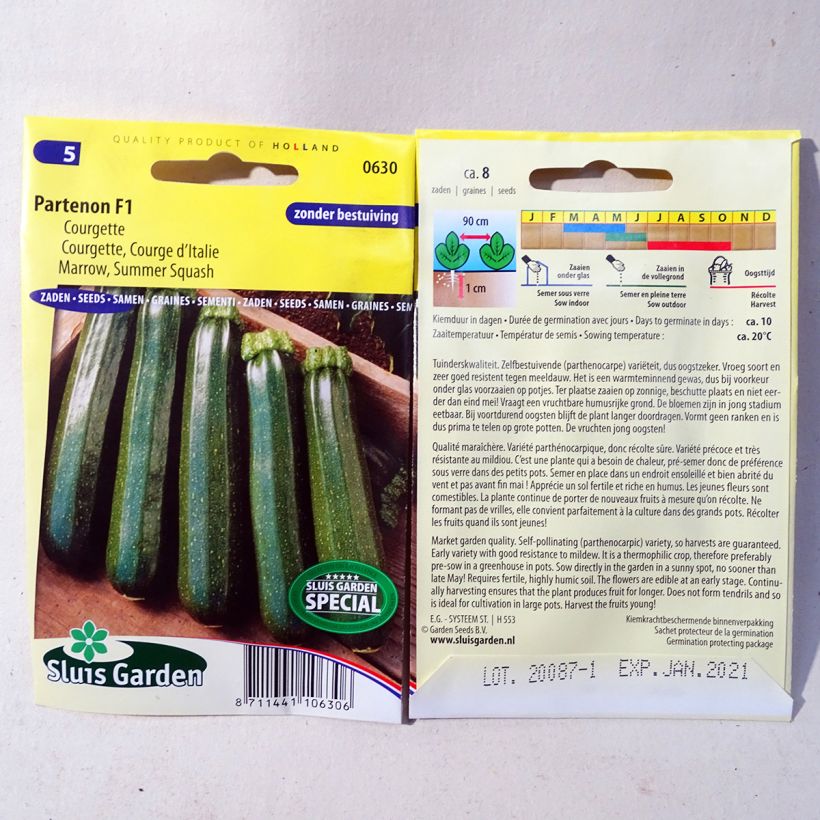 Esempio di esemplare Zucchino Partenon F1 sacchetto di semi 8 come consegnato