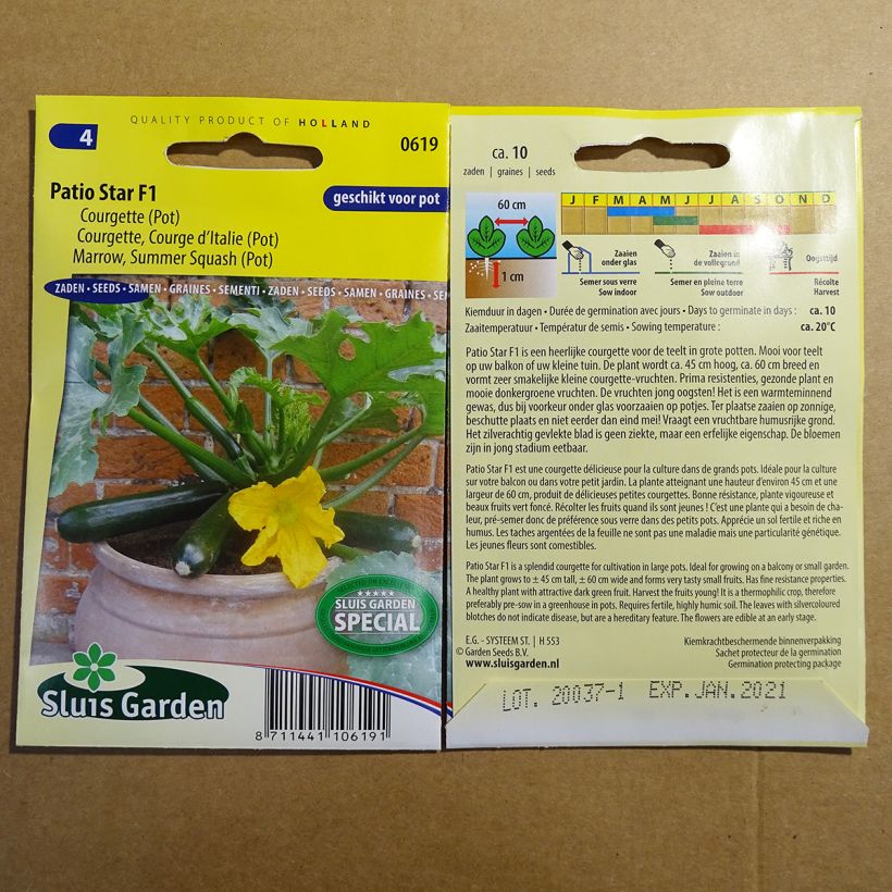 Esempio di esemplare Zucchino Patio Star F1 sacchetto di semi 10 come consegnato