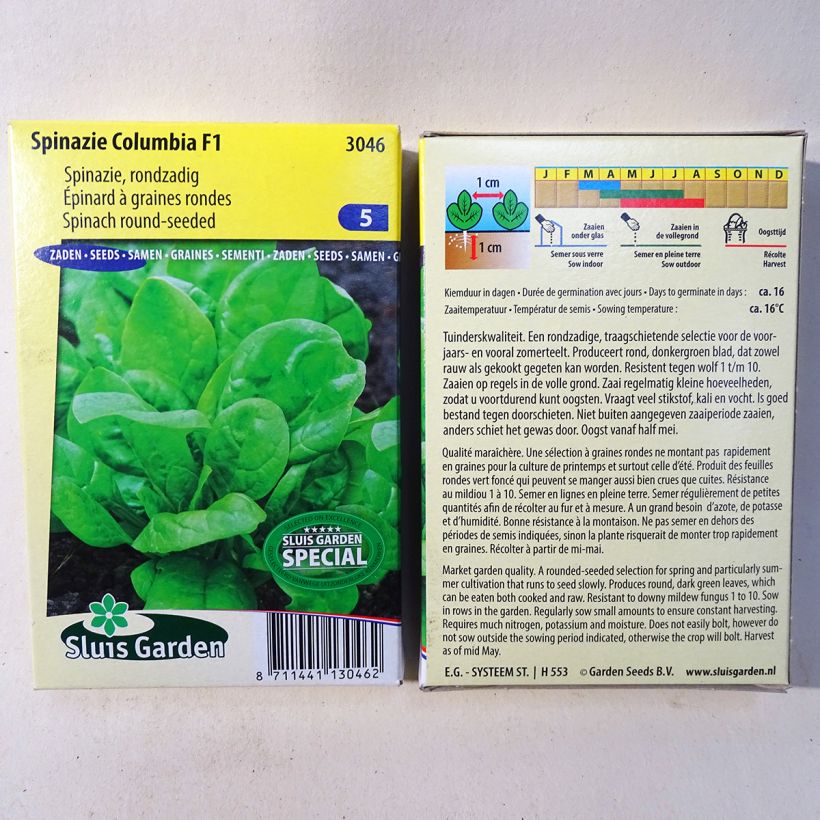 Esempio di esemplare Spinacio Columbia F1 sacchetto di semi 6500 (65g) come consegnato