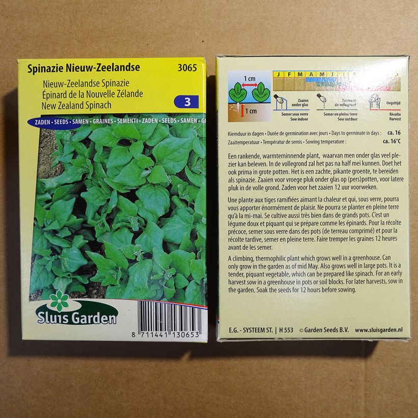 Esempio di esemplare Tetragonia tetragonioides - Spinacio della Nuova Zelanda sacchetto di semi 2500 (25g) come consegnato