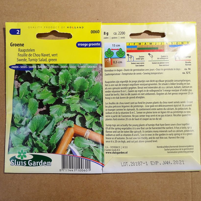 Esempio di esemplare Rapa Rapa verde sacchetto di semi 2200 (8g) come consegnato