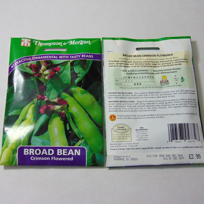 Esempio di esemplare Fava Crimson Flowered sacchetto di semi 30 (60g) come consegnato