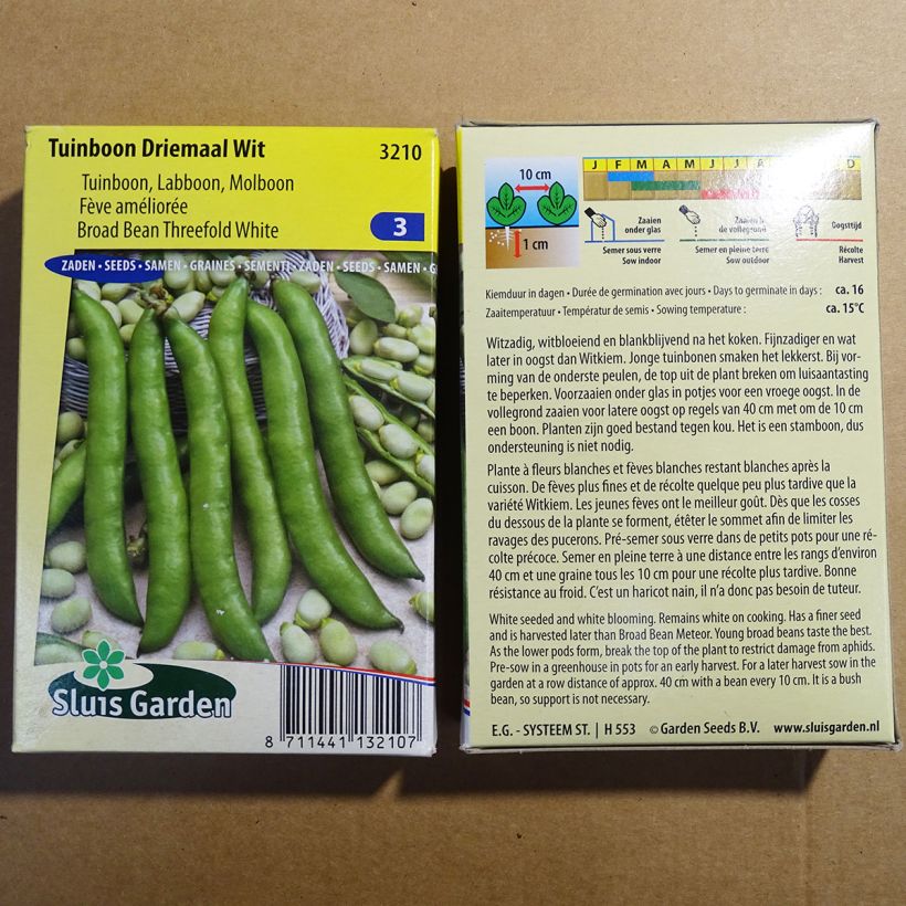 Esempio di esemplare Fava Driemaal Wit sacchetto di semi 45 (90g) come consegnato
