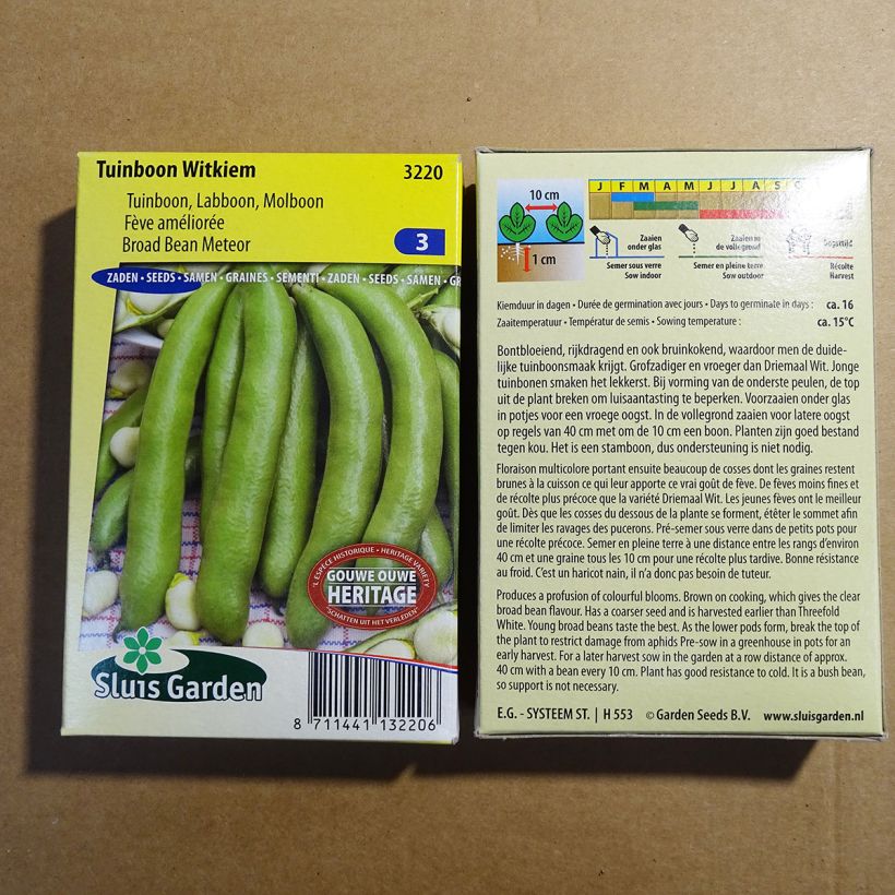Esempio di esemplare Fava Witkiem sacchetto di semi 42 (85g) come consegnato