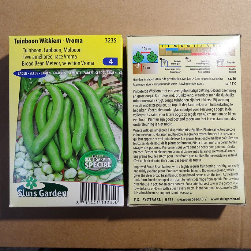 Esempio di esemplare Fava Witkiem Vroma sacchetto di semi 40 (75g) come consegnato