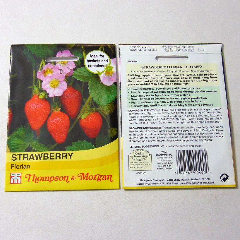 Esempio di esemplare Fragola Florian sacchetto di semi 15 come consegnato