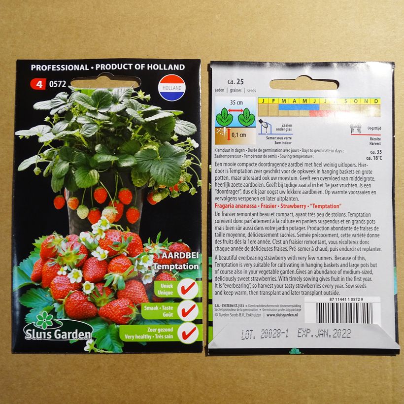 Esempio di esemplare Fragola Temptation (semi) sacchetto di semi 25 come consegnato
