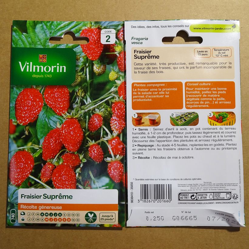 Esempio di esemplare Fragola delle quattro stagioni supreme - Vilmorin sacchetto di semi da 0.25 grammi come consegnato