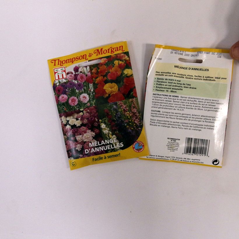 Esempio di esemplare Semi Misto di Piante Annuali - Easy Annuals Fairy Mixed sacchetto di semi da 2 grammi come consegnato