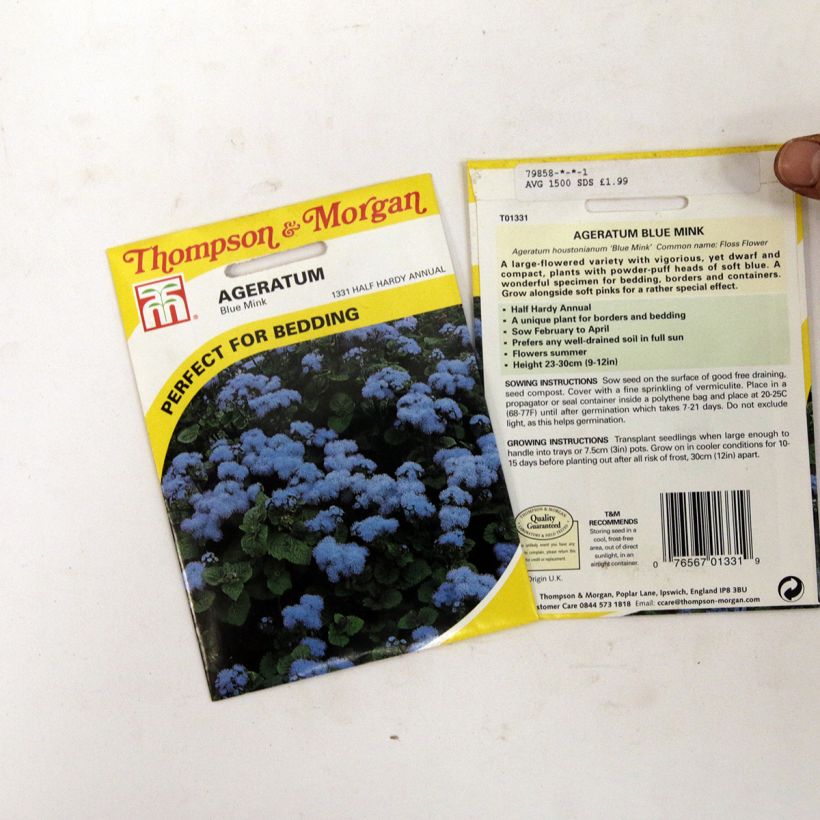 Esempio di esemplare Ageratum Blue Mink sacchetto di semi 1500 come consegnato