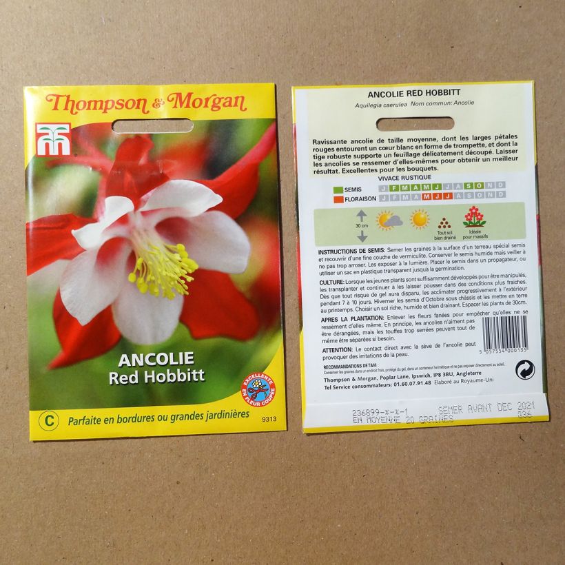 Esempio di esemplare Aquilegia caerulea Red Hobbit sacchetto di semi 20 come consegnato