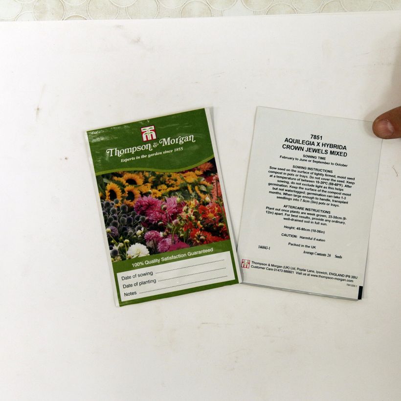 Esempio di esemplare Aquilegia Crown Jewels Mixed sacchetto di semi 20 come consegnato