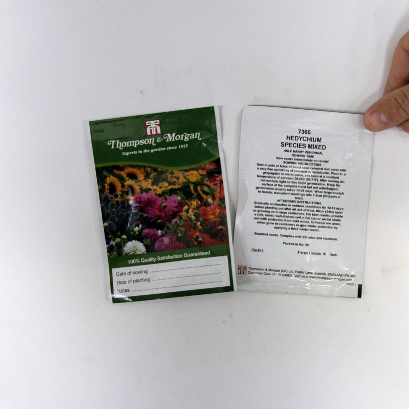 Esempio di esemplare Hedychium gardnerianum Species Mixed sacchetto di semi 10 come consegnato