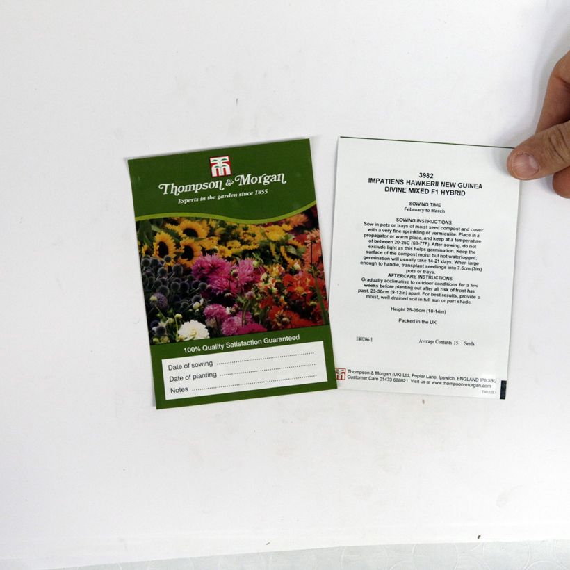 Esempio di esemplare Impatiens Divine Mixed - Fiore di vetro sacchetto di semi 15 come consegnato