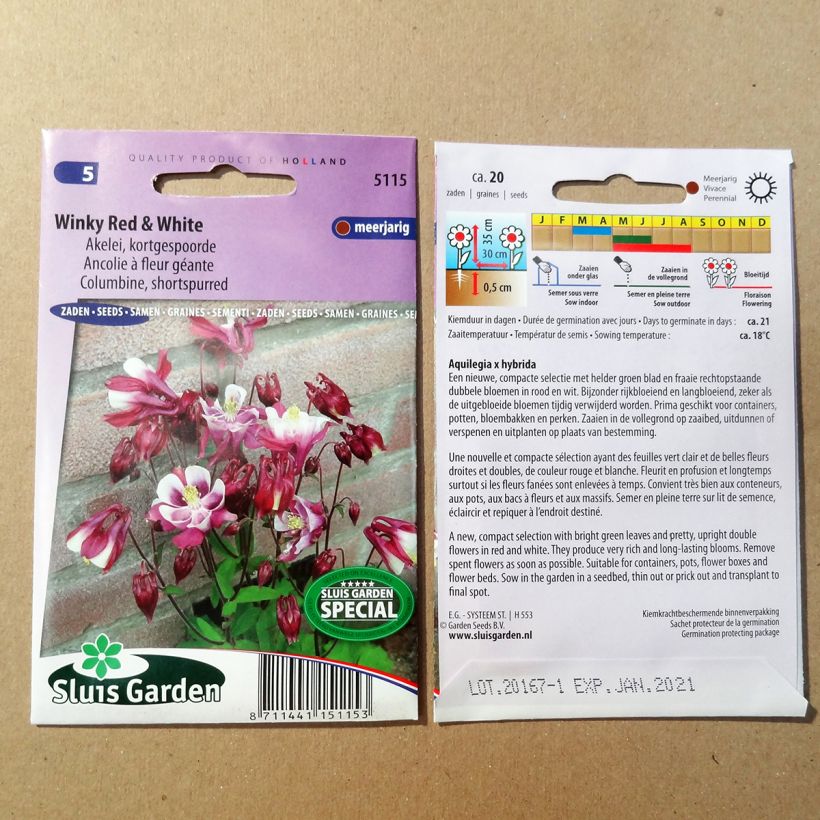Esempio di esemplare Aquilegia Winky Red & White sacchetto di semi 20 come consegnato