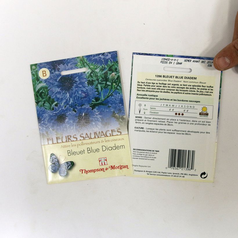 Esempio di esemplare Centaurea cyanus Blue Diadem - Fiordaliso vero sacchetto di semi 200 come consegnato
