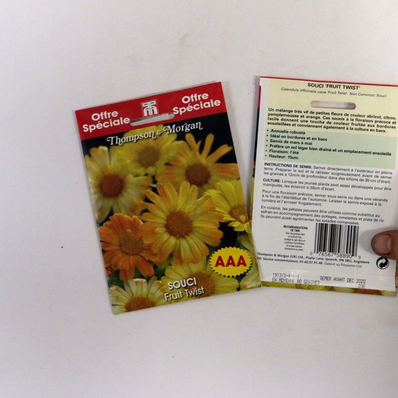 Esempio di esemplare Calendula officinalis Nana Fruit Twist - Calendola sacchetto di semi 80 come consegnato