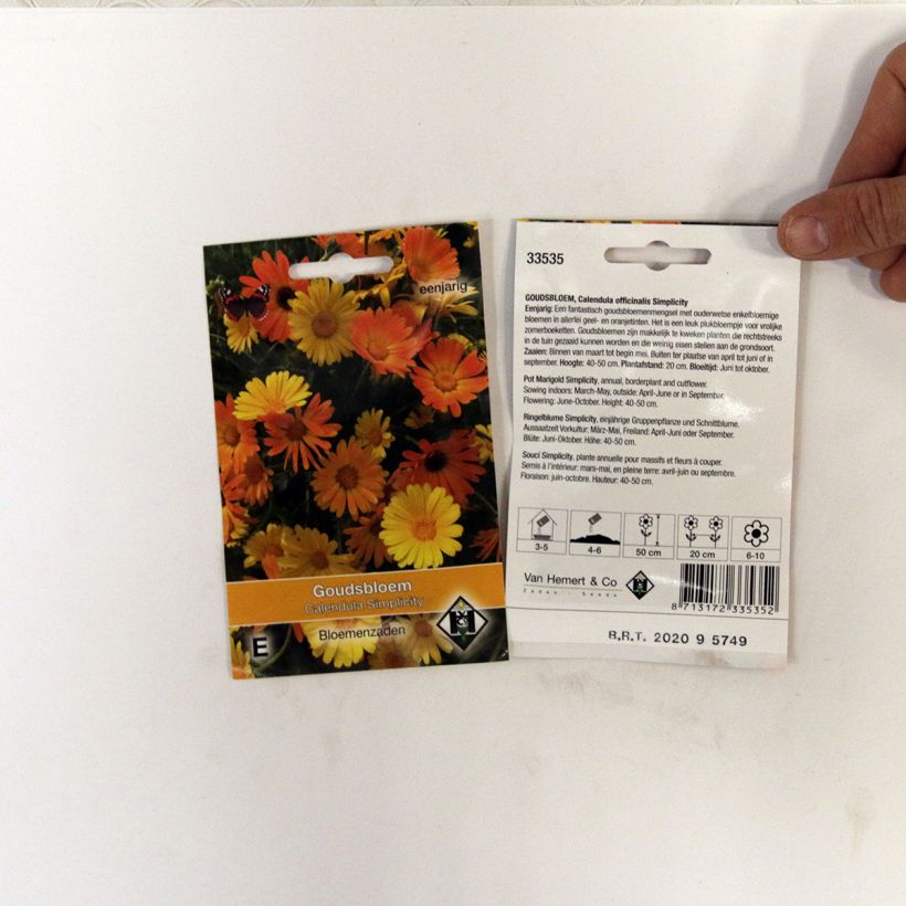Esempio di esemplare Calendula officinalis Simplicity - Fiorrancio sacchetto di semi 150 (1g) come consegnato