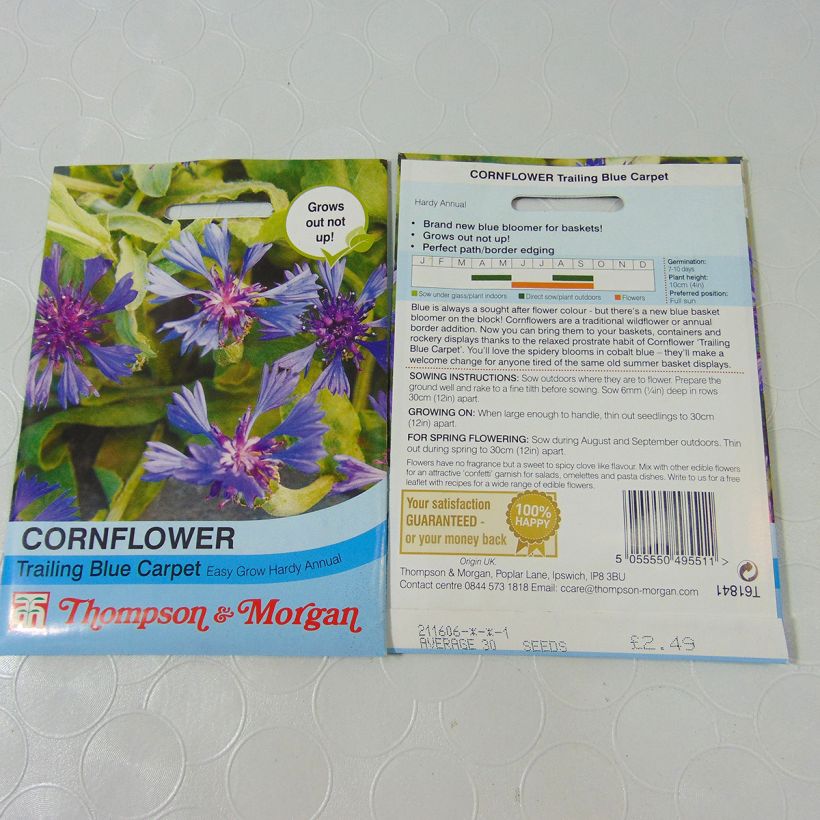 Esempio di esemplare Centaurea cyanoides Trailing Blue Carpet - Fiordaliso sacchetto di semi 30 come consegnato
