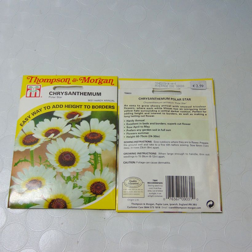Esempio di esemplare Chrysanthemum carinatum Polar Star - Crisantemo sacchetto di semi 300 (1g) come consegnato