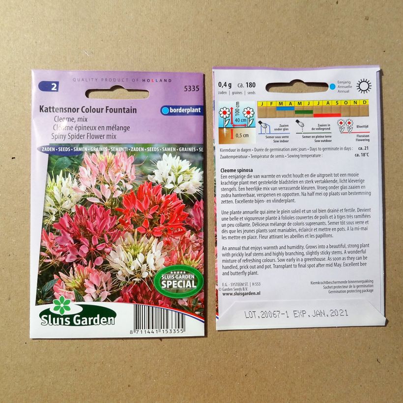 Esempio di esemplare Cleome Colour Fountain Mix sacchetto di semi 450 (1g) come consegnato