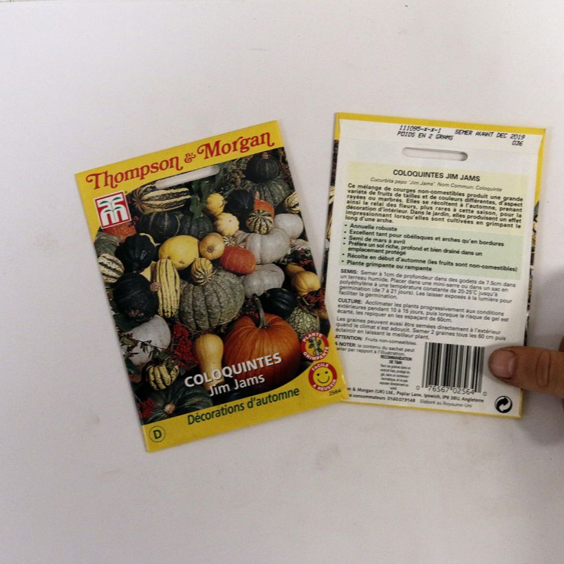 Esempio di esemplare Zucchino Jim Jams sacchetto di semi 31.5 (2.1g) come consegnato