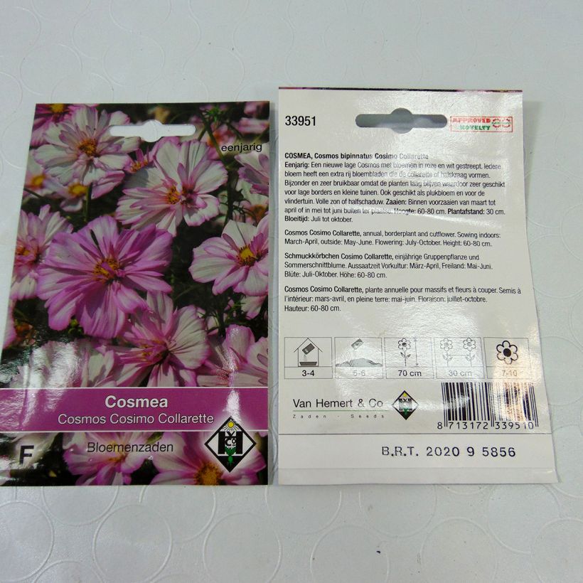 Esempio di esemplare Cosmos Cosimo Collarette - Cosmea sacchetto di semi 60 (0.5g) come consegnato