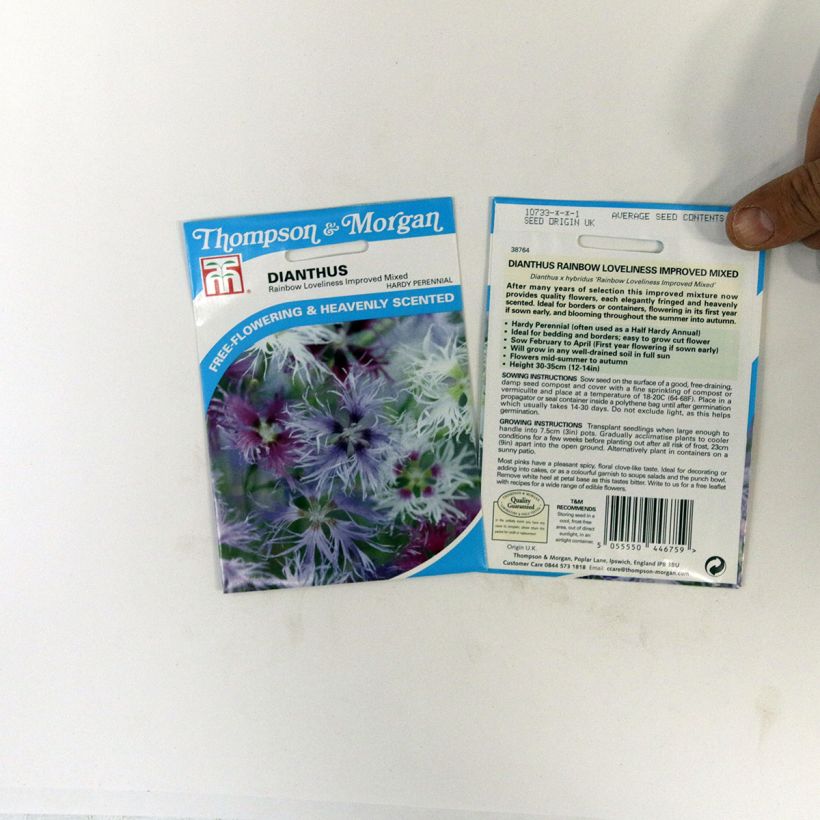 Esempio di esemplare Dianthus hybrid Rainbow Loveliness Improved Mixed - Garofano sacchetto di semi 30 come consegnato