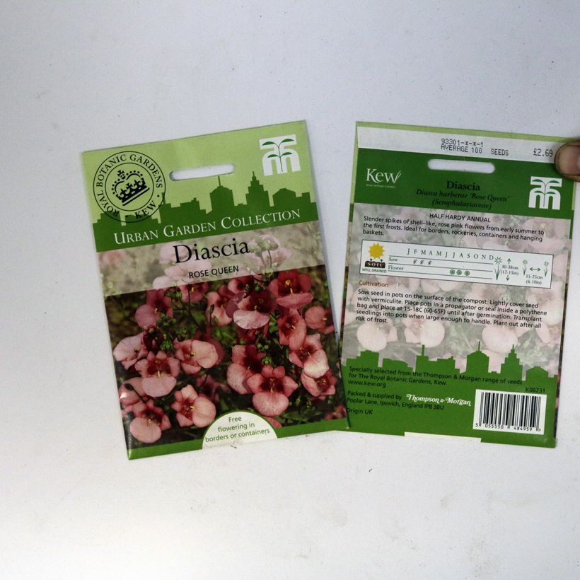 Esempio di esemplare Diascia Rose Queen sacchetto di semi 550 (0,15g) come consegnato