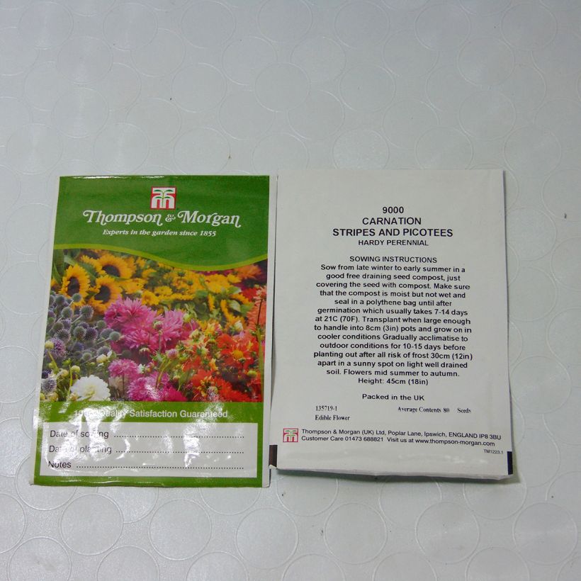 Esempio di esemplare Dianthus caryophyllus Stripes & Picotees - Garofano comune sacchetto di semi 80 come consegnato