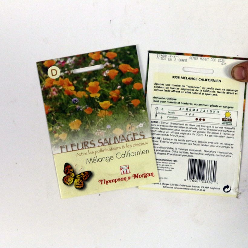 Esempio di esemplare Semi di Fiori selvatici - Miscela Californiana sacchetto di semi da 2 grammi come consegnato