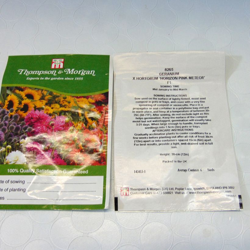 Esempio di esemplare Pelargonium Horizon Pink Meteor F1 Hybrid sacchetto di semi 6 come consegnato