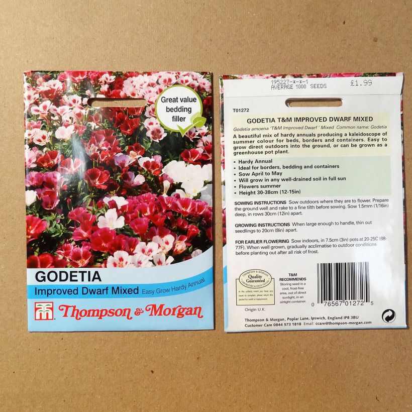 Esempio di esemplare Godezia Improved Dwarf mix sacchetto di semi 1700 (1g) come consegnato