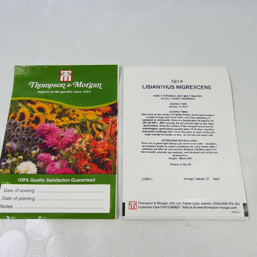 Esempio di esemplare Lisianthus nigrescens sacchetto di semi 20 come consegnato