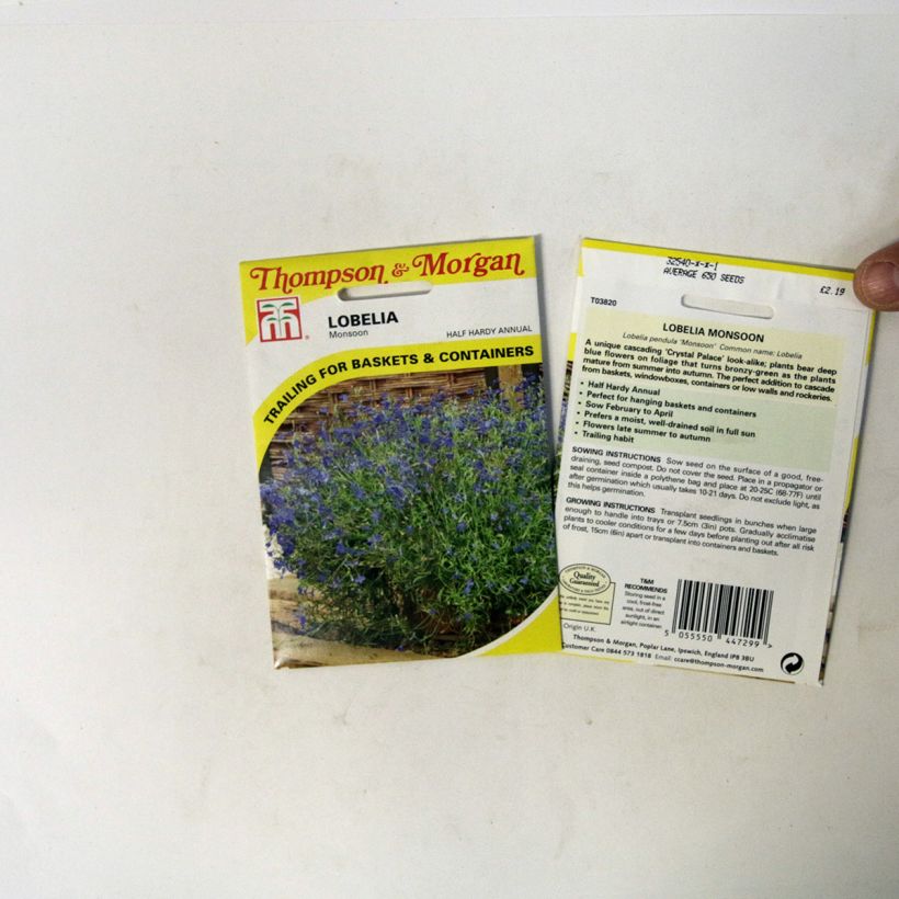 Esempio di esemplare Lobelia Monsoon sacchetto di semi 650 come consegnato