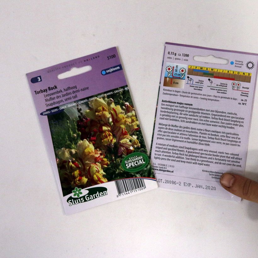 Esempio di esemplare Bocca di leone Torbay Rock sacchetto di semi 950 (0,15g) come consegnato
