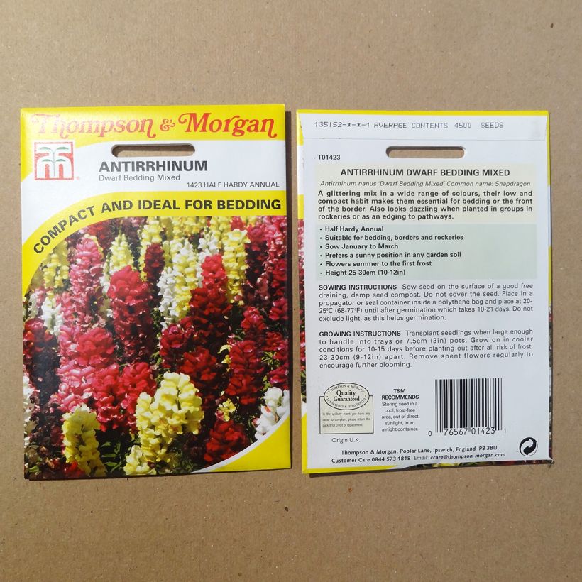Esempio di esemplare Bocca di leone Nanum Dwarf Bedding Mixed sacchetto di semi 4500 come consegnato