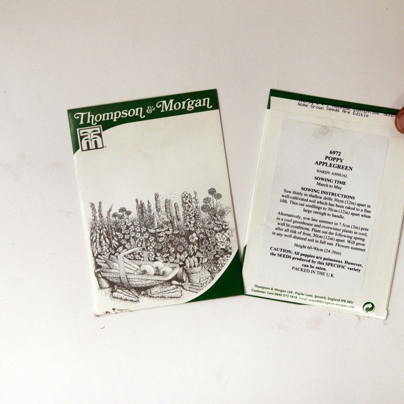 Esempio di esemplare Papavero da oppio Applegreen sacchetto di semi 80 come consegnato
